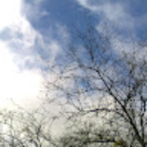 Meet your Posher, Fatima